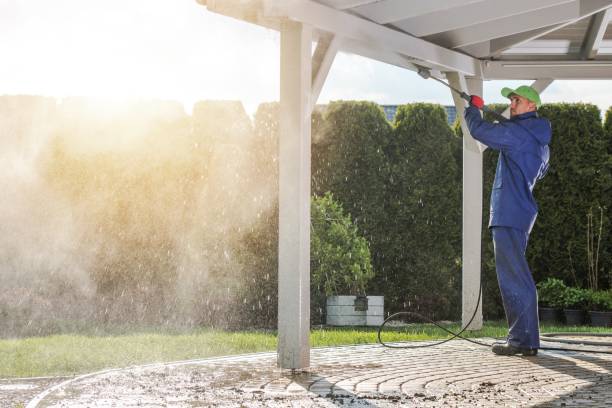 Best House Exterior Washing  in College, AK