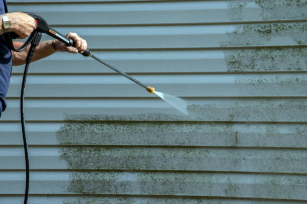 Best Dumpster Area Cleaning  in College, AK