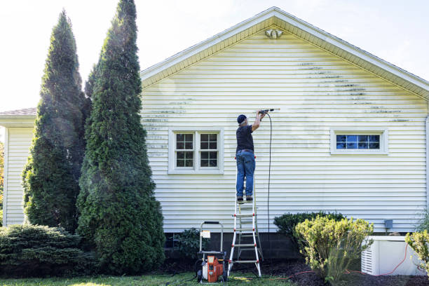 Best Solar Panel Cleaning  in College, AK