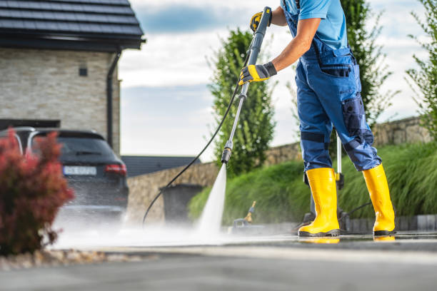 Best Fence Cleaning  in College, AK